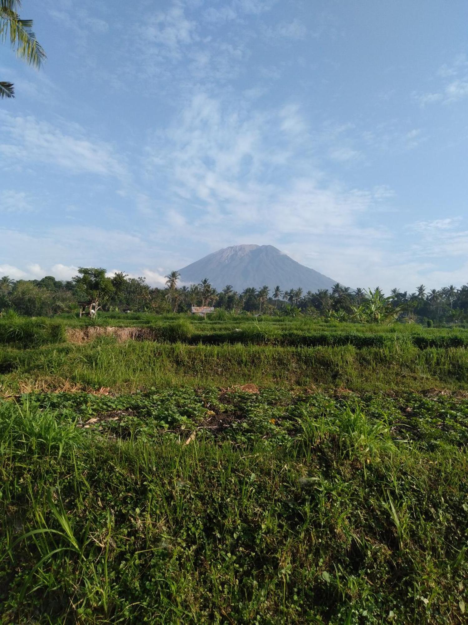Pondok Alam Bukit Karangasem Exteriör bild